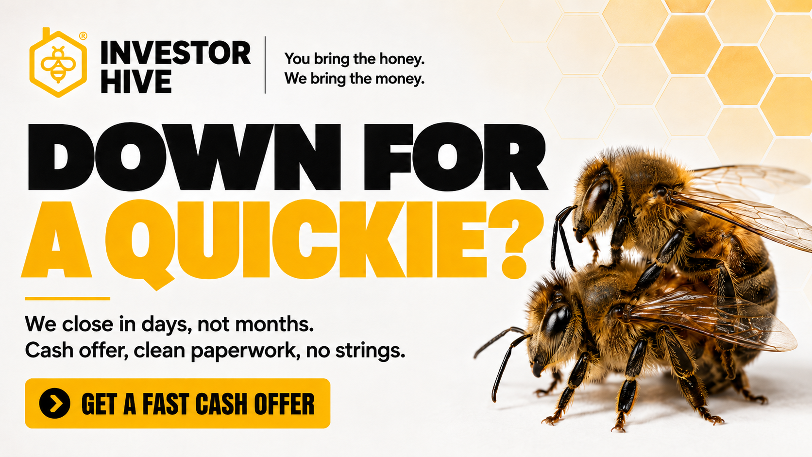 Investor Hive branding