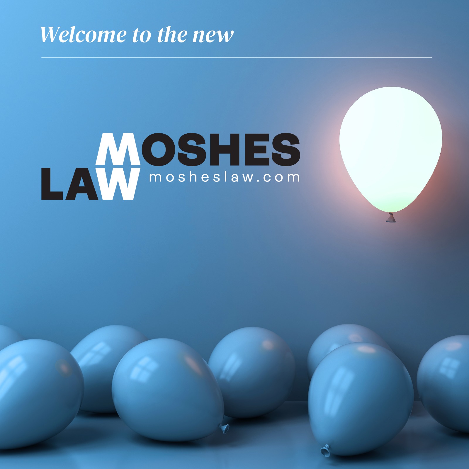 Moshes Law PC branding