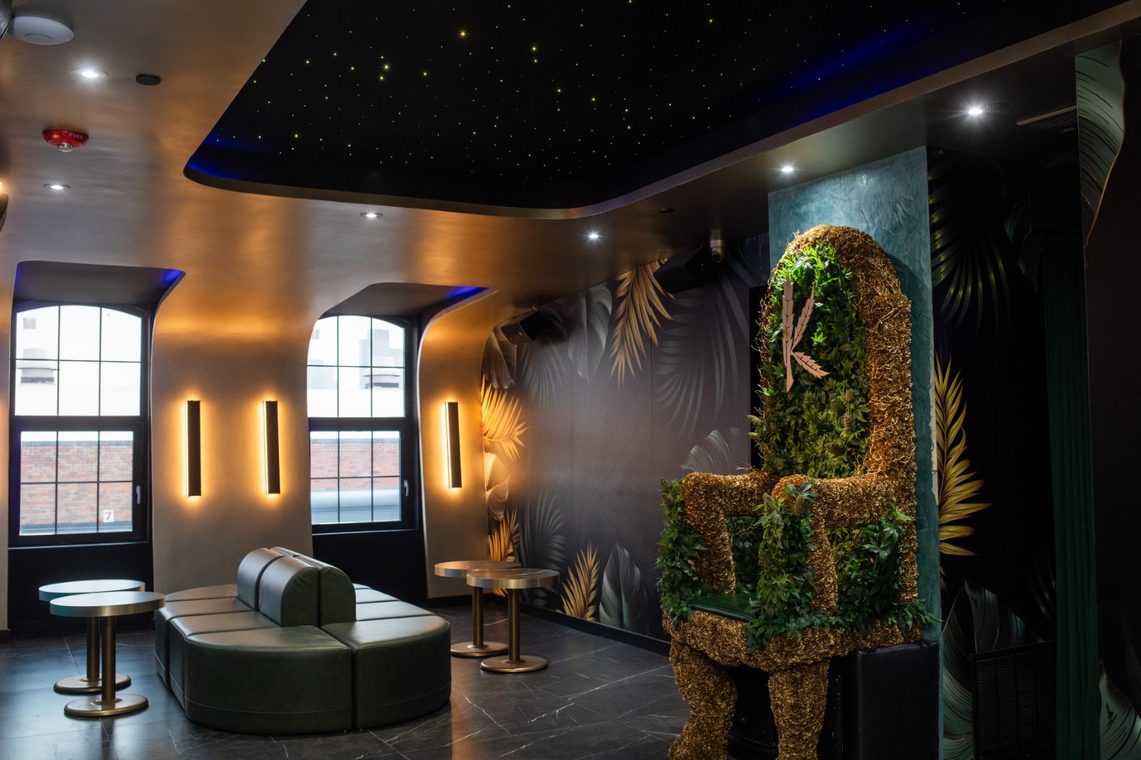 Elevated at Partake immersive room