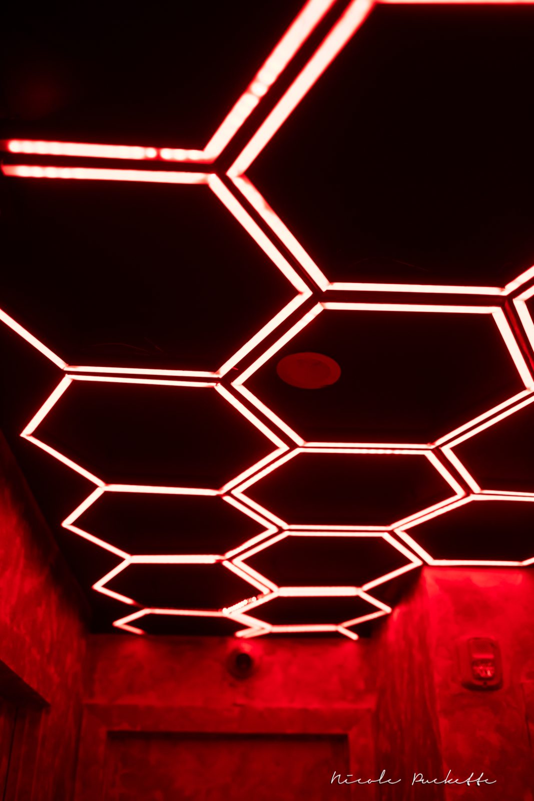 Partake NYC hexagon neon ceiling